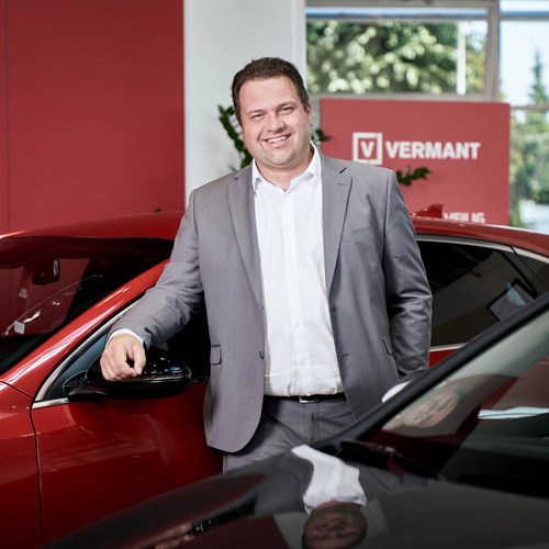 hans d'haene kia vermant